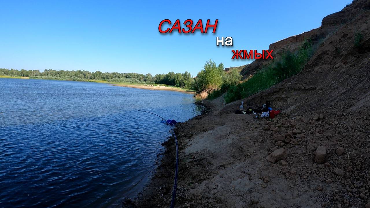 Рыбалка на донку. Поймал сазанчика смотреть онлайн