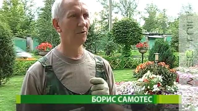 «Зеленый уголок» посреди каменных джунглей смотреть онлайн