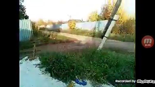 живая природа (опять нет) #2 смотреть онлайн
