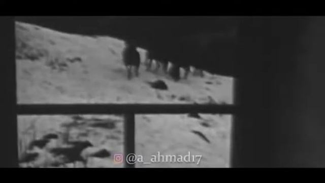 Гушмазукаев Зелимхан (ХАРЧО) смотреть онлайн