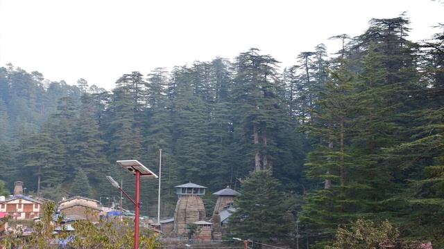 An evening at Jageshwar смотреть онлайн