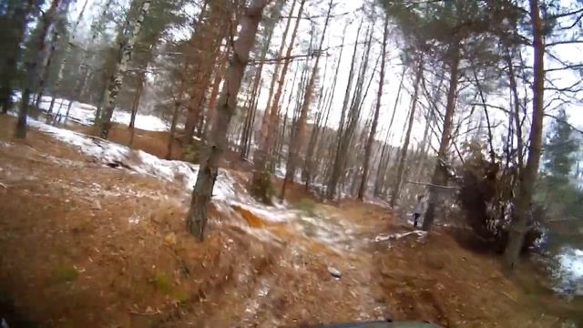 Хозяин Леса 14 ноября 2015 смотреть онлайн
