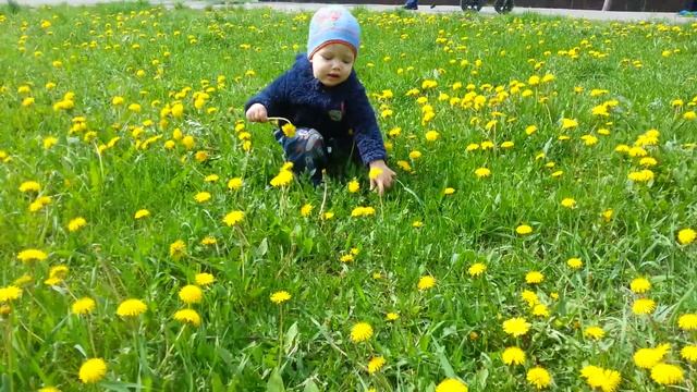 Тёма и одуванчики смотреть онлайн