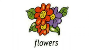 How to Pronounce Flowers in British English