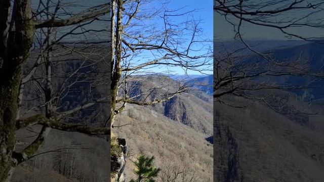 природа вдохновляет 🍃🍃🍃 смотреть онлайн