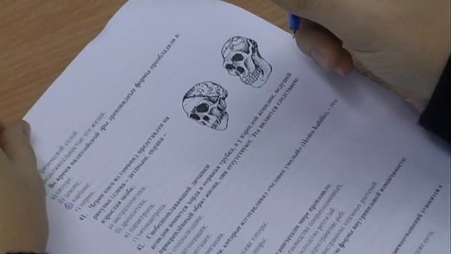 Стартовал региональный этап всероссийской олимпиады школьников смотреть онлайн