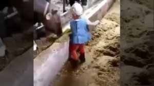 МАЛЕНЬКИЙ ХОЗЯИН ФЕРМЫ...#shorts