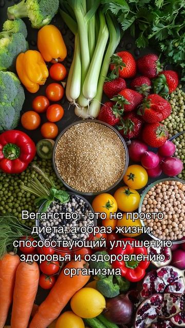 Веганские рецепты для здорового ужина смотреть онлайн