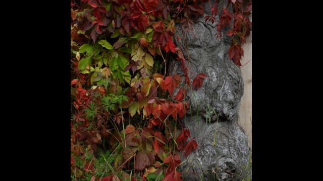 Фильм 0001 смотреть онлайн