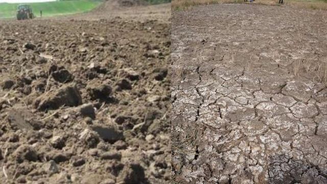 Soil erosion and soil conservation class 7/Soil part 5/Terrace farming, ways to conserve soil смотреть онлайн