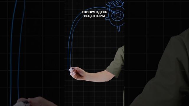 Нервы тянутся! смотреть онлайн