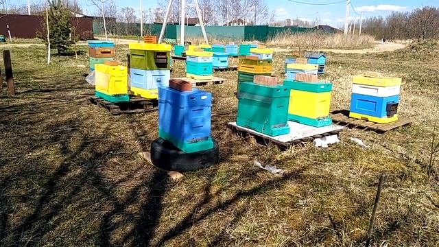 Расширение, переход на 145 рамку.