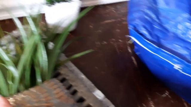 Dumpster Diving at the Thrift Store Haul смотреть онлайн