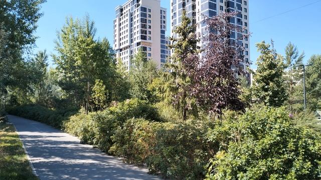 Рамай исемле юлбарыс аю дустын Казан белән таныштыра. Татарча сөйләшәбез. смотреть онлайн