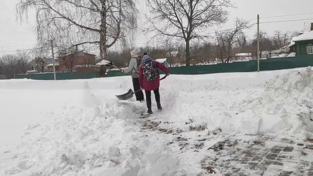 Михаил Шолохов биография смотреть онлайн