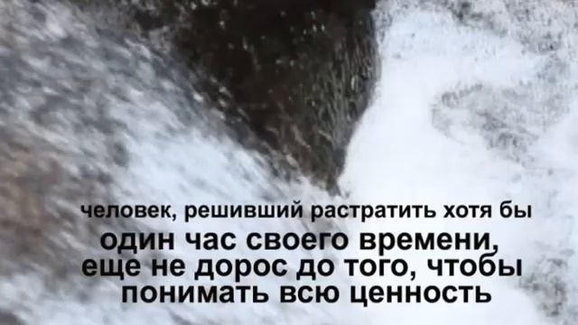 ЦИТАТЫ Дарвин смотреть онлайн