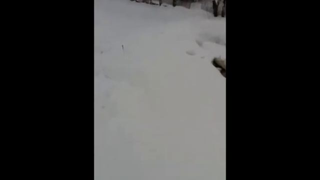 Ракета на черном порохе - Fail :D смотреть онлайн