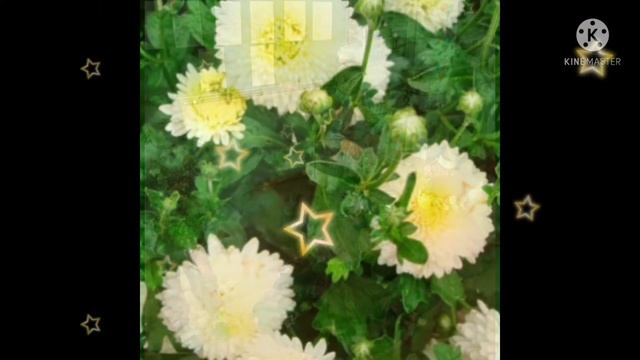 3 -класс. Түшүм майрамы. Сартаев Нарынбек смотреть онлайн