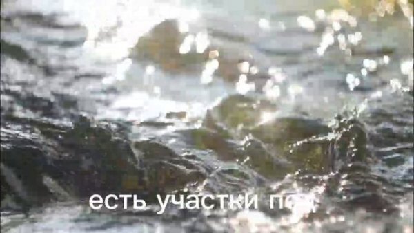 11777857, 11777668, 11772795