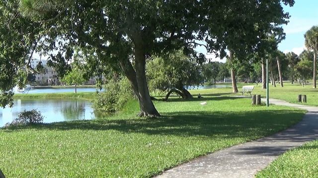 Математический метаморфоз