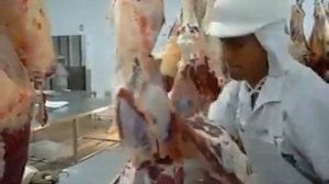 Вертикальная обвалка мяса говядины