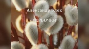 ВЕРБОЧКИ - Александр Блок. Поёт ЕЛЕНА ФРОЛОВА