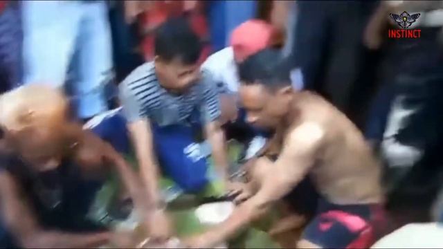 MISSING INDONESIAN WOMAN BODY FOUND SWALLOWED INSIDE OF 23 FOOT GIANT ANACONDA смотреть онлайн