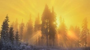 Footage Nature for Video | Футажи Природа для видеомонтажа