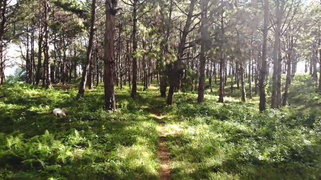 Best Ambient Music Tracks. смотреть онлайн
