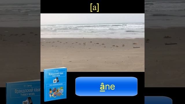 Ганчар Н.П. Французский язык. Учимся читать. Буква А. Задание 2: âne смотреть онлайн