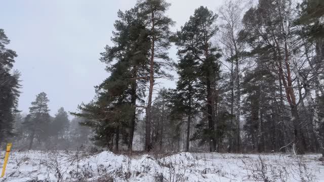 Кленовая Заокский Заокский район Тульской области смотреть онлайн