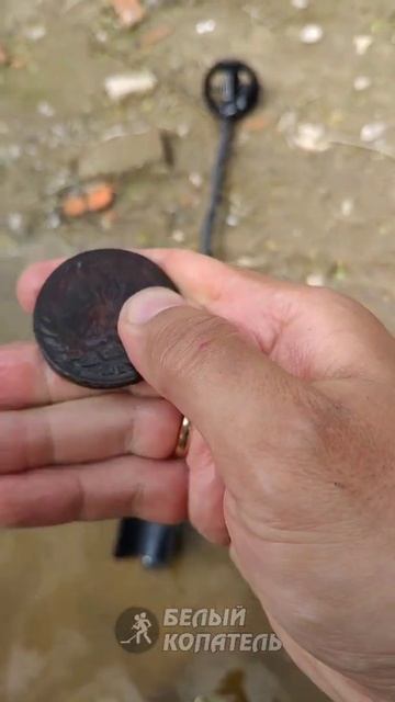 Лучшие находки с металлоискателем Nokta Legend✌ смотреть онлайн