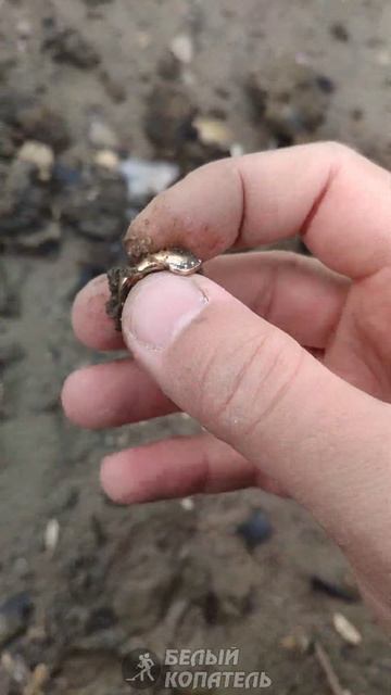 Первое золото 2023 ✌ пляжный сезон открыт! смотреть онлайн