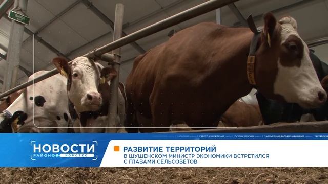 В Железногорске школьников учат искать опасные клёны. Деревья могут срубить смотреть онлайн