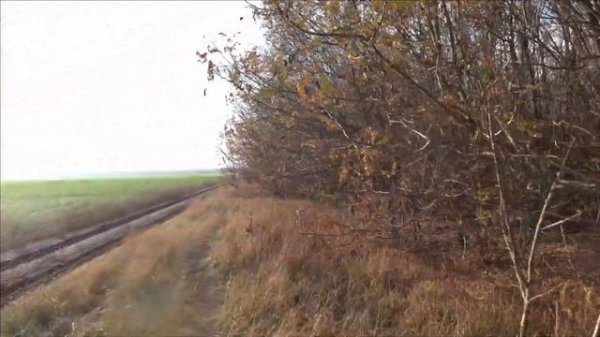 (18+)открытие охоты на зайца (бакс продакшн и гоп компания)