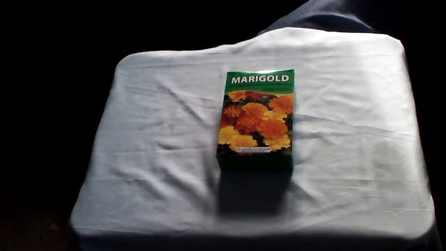 Dollar Tree - Discount Store Haul - Part 2....What everyone should buy there 20128/25/01 смотреть онлайн