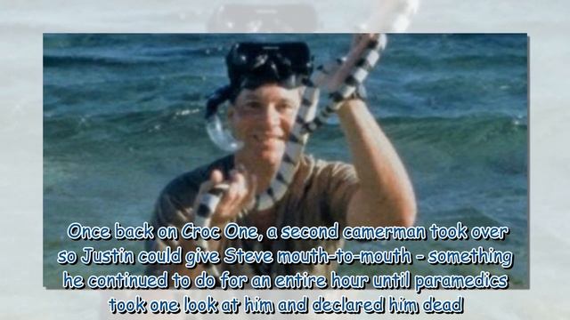 Questions over Steve Irwin death tape that recorded harrowing final moments смотреть онлайн