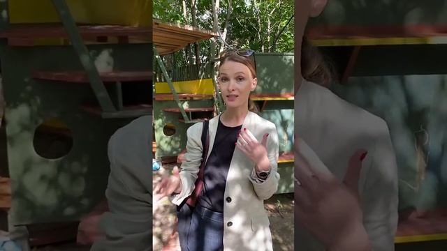 Лагерь Seymour House - лучшее погружение в языковую среду на каникулах. смотреть онлайн