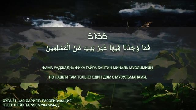КРАСИВОЕ ЧТЕНИЕ КОРАНА С ПЕРЕВОДОМ НА РУССКИЙ ЯЗЫК | СУРА 51: АЗ-ЗАРИЯТ | الذاریّات | سوره