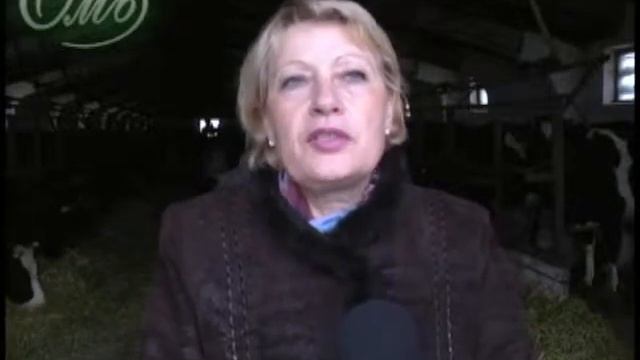 Царицынцы на выставке "Золотая осень-2013" (г. Москва) смотреть онлайн