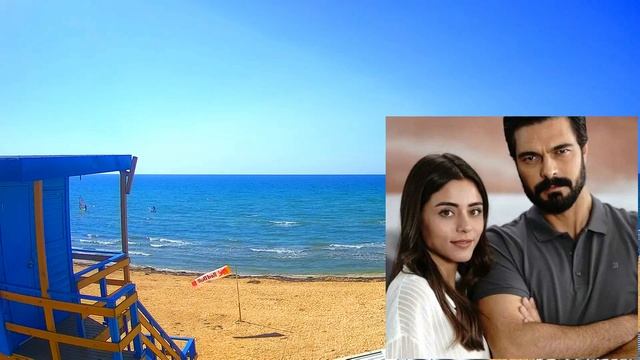 Доверенное 225 серия на русском языке. Обзор смотреть онлайн