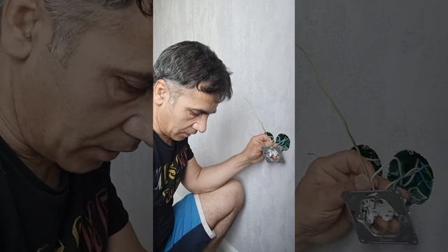 Effective Ideas For A More Efficient Life