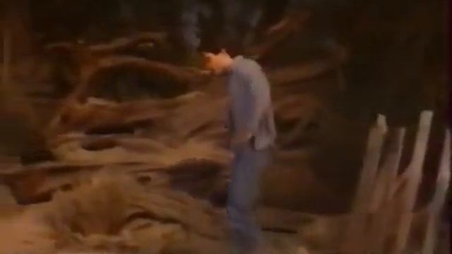 Санта Барбара   698