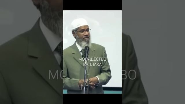 Могущество Аллаха.Доктор Закир Найк (360p) смотреть онлайн