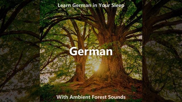 Learn German Words: Deutsch - German