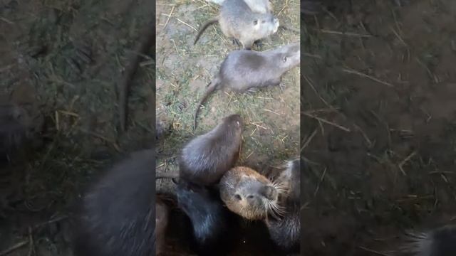 Очередной будний день смотреть онлайн