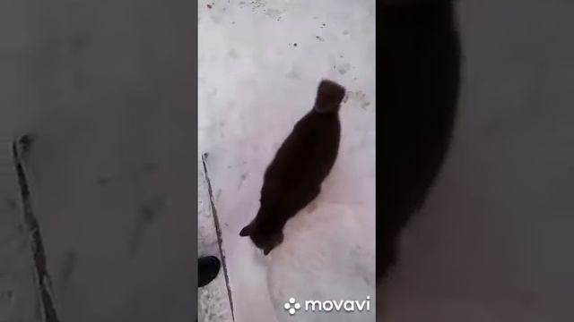 Добрые дела школьников смотреть онлайн