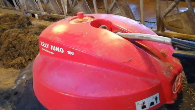 Lely Juno 100 смотреть онлайн