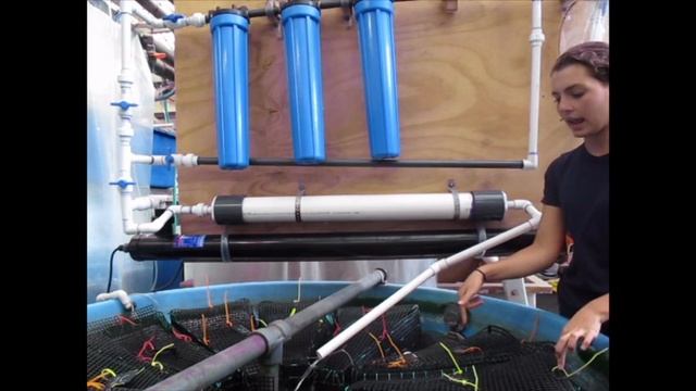 Marine Biology Research and Education смотреть онлайн