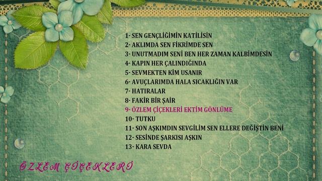 Tülin Hanım - Özlem Çiçekleri Ektim Gönlüme (Official Audio) смотреть онлайн